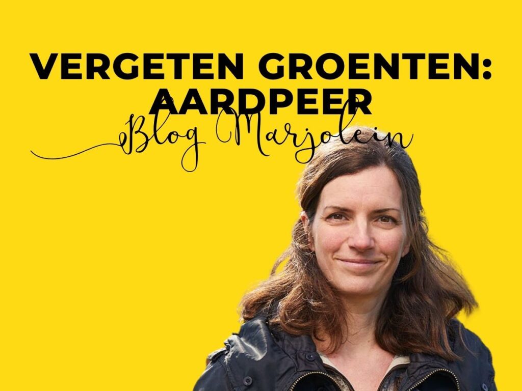Blog Marjolein Aardpeer
